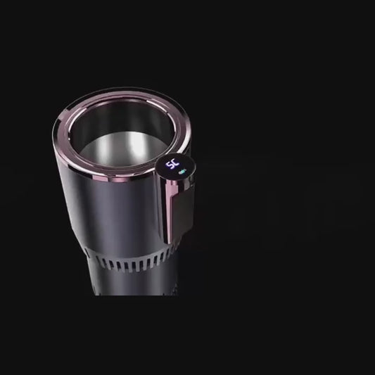 DESCRI~1.MP4